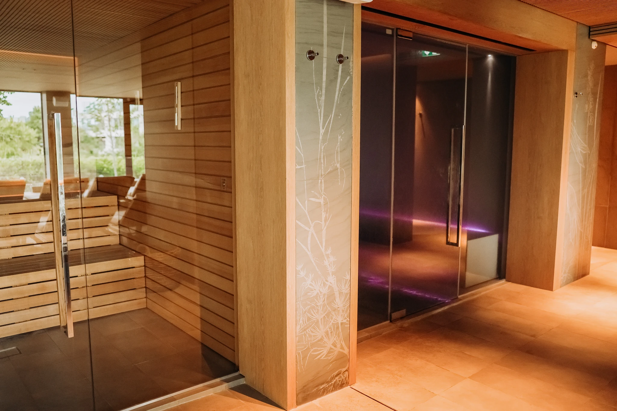 Sauna et hammam vitrés dans un spa d'hôtel